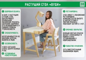 Комплект растущий стол и стул 38 попугаев «Вуди» (Серый, Без покрытия) в Урае - uray.mebel-74.com | фото