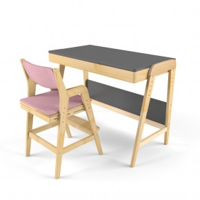Комплект растущий стол и стул с чехлом 38 попугаев «Вуди» (Серый, Береза, Розовый) в Урае - uray.mebel-74.com | фото