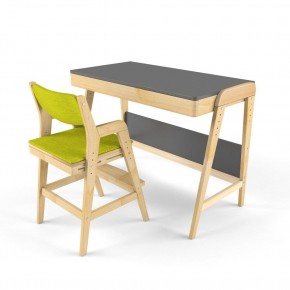 Комплект растущий стол и стул с чехлом 38 попугаев «Вуди» (Серый, Без покрытия, Грин) в Урае - uray.mebel-74.com | фото