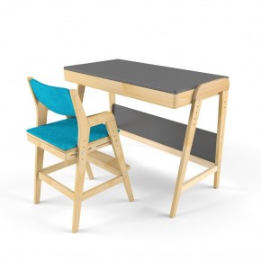Комплект растущий стол и стул с чехлом 38 попугаев «Вуди» (Серый, Без покрытия, Лазурь) в Урае - uray.mebel-74.com | фото