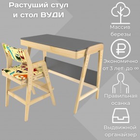 Комплект растущий стол и стул с чехлом 38 попугаев «Вуди» (Серый, Без покрытия, Монстры) в Урае - uray.mebel-74.com | фото