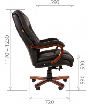 Кресло для руководителя CHAIRMAN  503 (Кожа) Черное в Урае - uray.mebel-74.com | фото