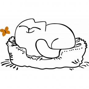 Кровать двухуровневая Кот № 900.1 ЛЕВАЯ (туя светлая/белый) в Урае - uray.mebel-74.com | фото