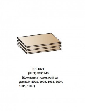 ПЛ-1021 (Комплект полок из 3 шт для ШК-1001, 1002, 1003, 1004, 1005, 1007) в Урае - uray.mebel-74.com | фото