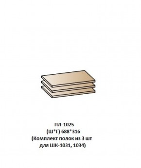 ПЛ-1025 (Комплект полок из 3 шт для ШК-1031, 1034) в Урае - uray.mebel-74.com | фото
