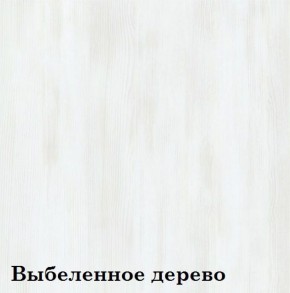 Шкаф 2-х секционный ЛЮКС 2 (фасад ЛДСП) ЛДСП Стандарт в Урае - uray.mebel-74.com | фото