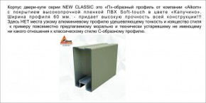 Шкаф-купе 1500 серии NEW CLASSIC K3+K3+B2+PL1 (2 ящика+1 штанга) профиль «Капучино» в Урае - uray.mebel-74.com | фото