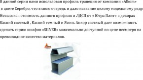 Шкаф-купе 1500 серии SILVER S5+S5+B2+PL3 (2 ящика+2 штанги) профиль «Серебро» в Урае - uray.mebel-74.com | фото