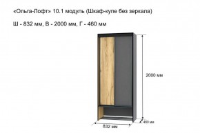 Шкаф купе без зеркала "Ольга-Лофт 10.1" в Урае - uray.mebel-74.com | фото