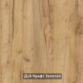 Шкаф купе без зеркала "Ольга-Лофт 10.1" в Урае - uray.mebel-74.com | фото