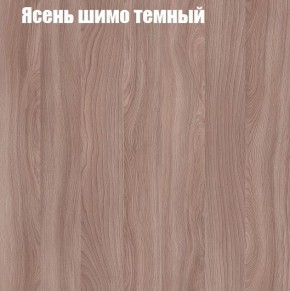 Шкаф-купе «ТАНДЕМ» 2-х дверный в алюминиевом профиле (Дверь ЛДСП+ЛДСП) 1400/h2200 в Урае - uray.mebel-74.com | фото