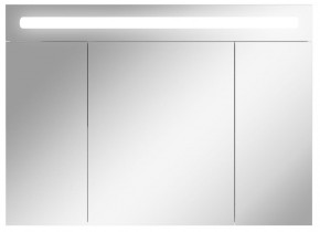 Шкаф-зеркало Аврора 100 с подсветкой LED Домино (DV8012HZ) в Урае - uray.mebel-74.com | фото