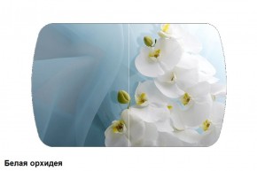 Стол Бостон 900*600 (опоры Брифинг) Стекло/фотопечать Белая Орхидея в Урае - uray.mebel-74.com | фото