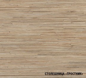 ТОМИЛЛА Кухонный гарнитур Оптима 5 (2700*1600 мм ) в Урае - uray.mebel-74.com | фото