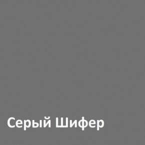 Юнона Шкаф торцевой 13.221 в Урае - uray.mebel-74.com | фото